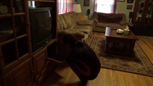 Drea Tears Of Persephone